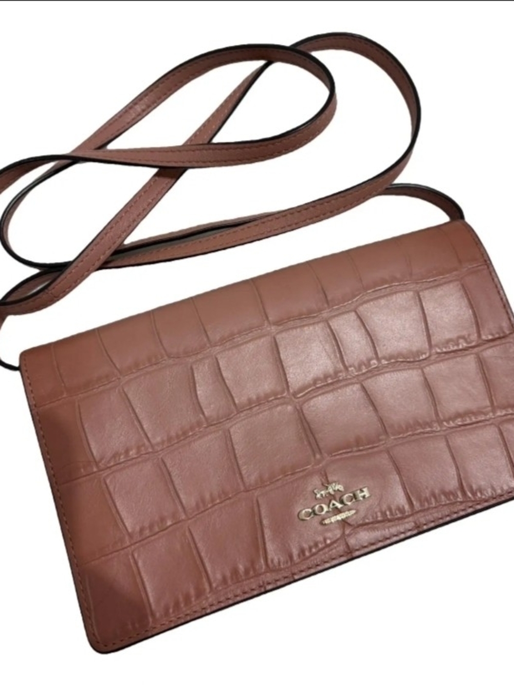 Coach Brown Croc-Embossed Hayden Leather Crossbody Bag
